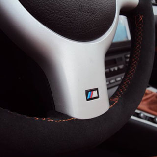 BMW E46 Lower Steering Wheel Trim